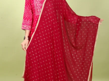 Maroon Chiffon Printed Dupatta