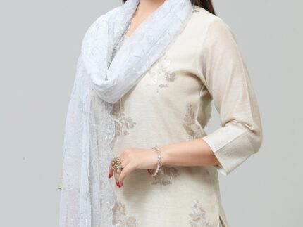 Gray Net Embroidered Dupatta