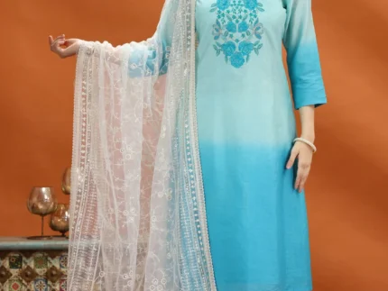White Net Embroidered Dupatta